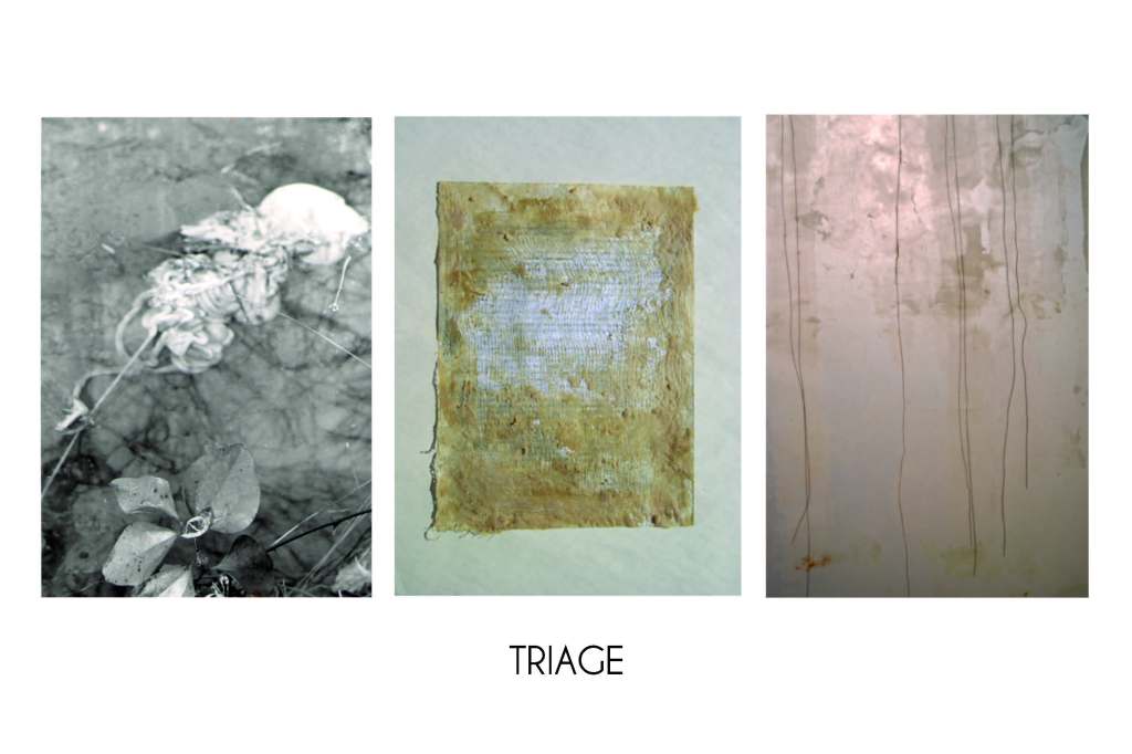  	 Triage: three artists sort shifting emergencies of bodies, language, and spaces between, revealing places of opacity, refuge, and intimacy. Triage Christine Toth with Karin Bolender & Craig Goodworth Exhibition Dates: September 5 - 28, 2013